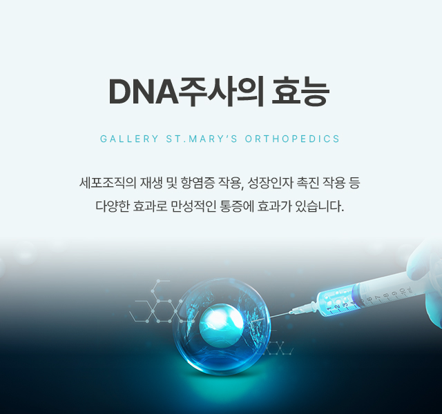 DNAֻ